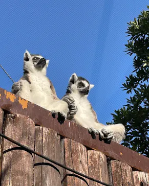 神戸どうぶつ王国に投稿された画像（2021/12/29）