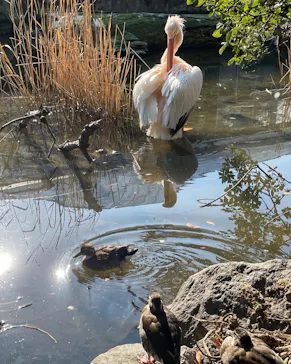 神戸どうぶつ王国に投稿された画像（2021/12/29）