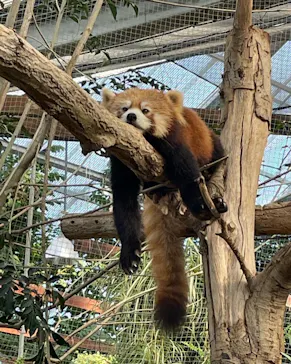 神戸どうぶつ王国に投稿された画像（2021/12/29）