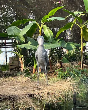 神戸どうぶつ王国に投稿された画像（2021/12/29）