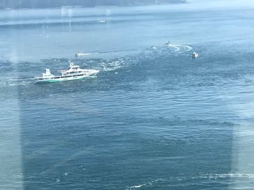 徳島県立 渦の道に投稿された画像（2021/12/29）