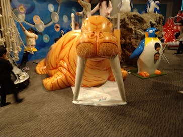 大分マリーンパレス水族館 「うみたまご」に投稿された画像（2021/12/29）