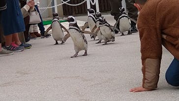 大分マリーンパレス水族館 「うみたまご」に投稿された画像（2021/12/29）