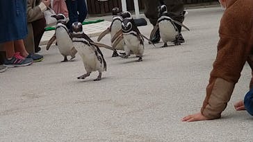 大分マリーンパレス水族館 「うみたまご」に投稿された画像（2021/12/29）