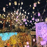 ひらかたパークに投稿された画像（2021/12/30）