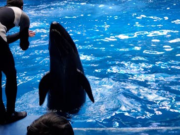 マクセル アクアパーク品川に投稿された画像（2021/12/29）