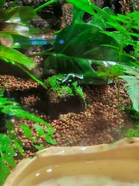 マクセル アクアパーク品川に投稿された画像（2021/12/29）