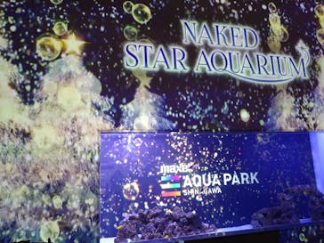 マクセル アクアパーク品川に投稿された画像（2021/12/29）