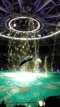 マクセル アクアパーク品川に投稿された画像（2021/12/29）