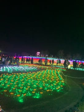 東武動物公園に投稿された画像（2021/12/30）