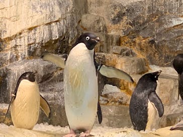 名古屋港水族館に投稿された画像（2021/12/30）