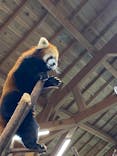 伊豆シャボテン動物公園に投稿された画像（2021/12/30）