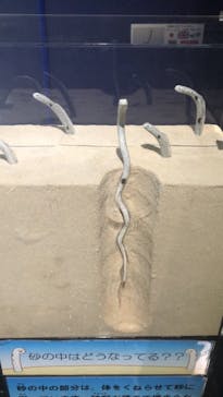 アクアワールド茨城県大洗水族館に投稿された画像（2021/12/30）