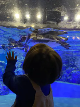 すみだ水族館に投稿された画像（2021/12/30）