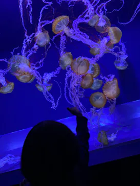 すみだ水族館に投稿された画像（2021/12/30）