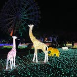東武動物公園に投稿された画像（2021/12/30）