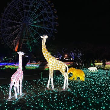 東武動物公園に投稿された画像（2021/12/30）