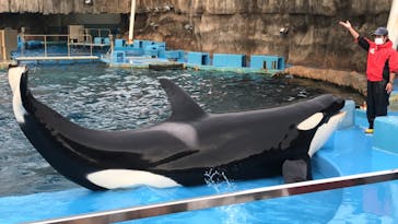 名古屋港水族館に投稿された画像（2021/12/30）