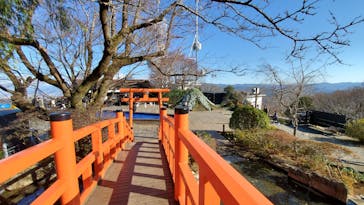 伊豆パノラマパークに投稿された画像（2021/12/30）