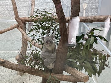 淡路ファームパーク イングランドの丘に投稿された画像（2021/12/30）