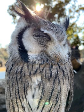 伊豆アニマルキングダムに投稿された画像（2021/12/30）