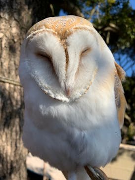 伊豆アニマルキングダムに投稿された画像（2021/12/30）