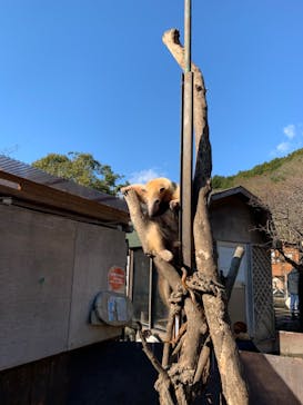 伊豆アニマルキングダムに投稿された画像（2021/12/30）