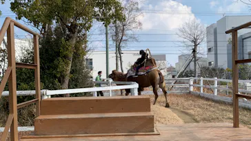 神戸どうぶつ王国に投稿された画像（2021/12/30）