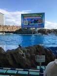 名古屋港水族館に投稿された画像（2021/12/30）