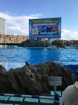 名古屋港水族館に投稿された画像（2021/12/30）