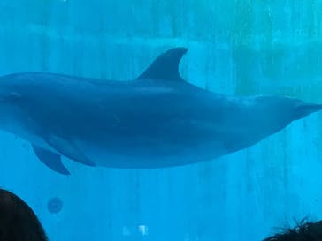 名古屋港水族館に投稿された画像（2021/12/30）