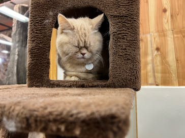 那須どうぶつ王国に投稿された画像（2021/12/30）