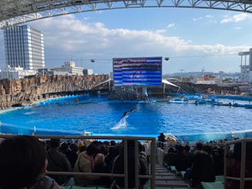 名古屋港水族館に投稿された画像（2021/12/30）