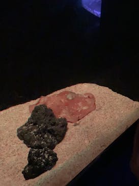 サンシャイン水族館に投稿された画像（2021/12/30）