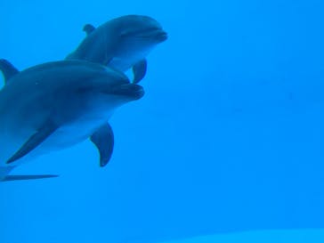 名古屋港水族館に投稿された画像（2021/12/30）