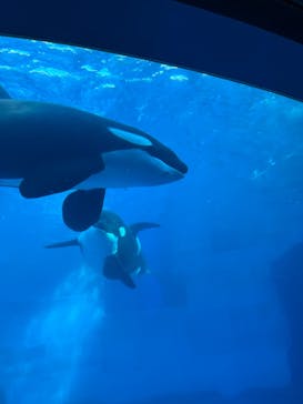 名古屋港水族館に投稿された画像（2021/12/30）