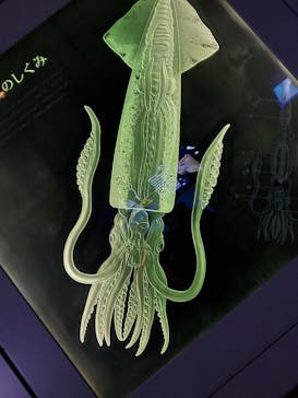 島根県立 しまね海洋館に投稿された画像（2021/12/30）