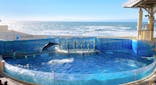 新江ノ島水族館に投稿された画像（2021/12/30）