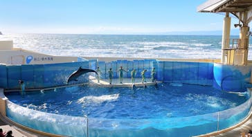 新江ノ島水族館に投稿された画像（2021/12/30）
