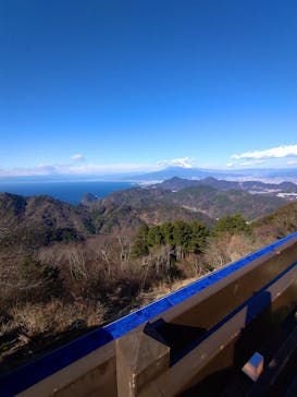 伊豆パノラマパークに投稿された画像（2021/12/30）