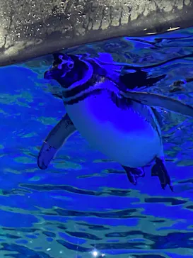 すみだ水族館に投稿された画像（2021/12/30）
