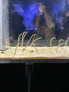 すみだ水族館に投稿された画像（2021/12/30）