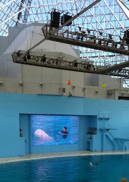 横浜・八景島シーパラダイスに投稿された画像（2021/12/30）