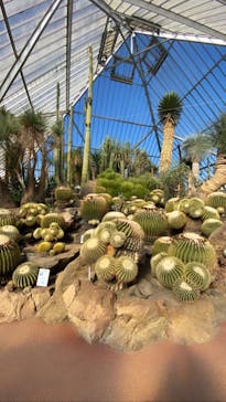 伊豆シャボテン動物公園に投稿された画像（2021/12/30）