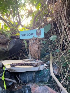 伊豆シャボテン動物公園に投稿された画像（2021/12/30）