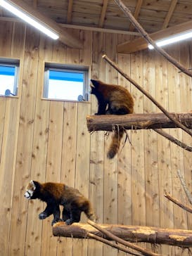 伊豆シャボテン動物公園に投稿された画像（2021/12/30）