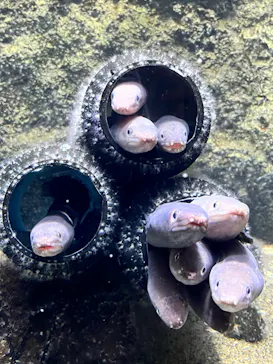 仙台うみの杜水族館に投稿された画像（2021/12/30）