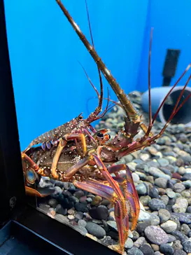 仙台うみの杜水族館に投稿された画像（2021/12/30）