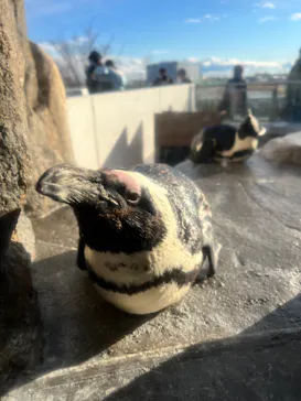 仙台うみの杜水族館に投稿された画像（2021/12/30）