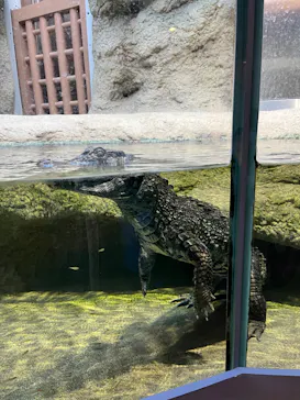 仙台うみの杜水族館に投稿された画像（2021/12/30）